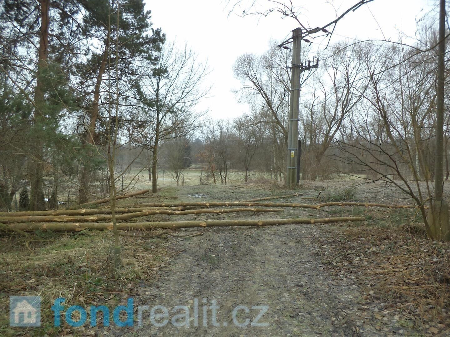 Prodej nemovitosti 1175 m² - foto 3