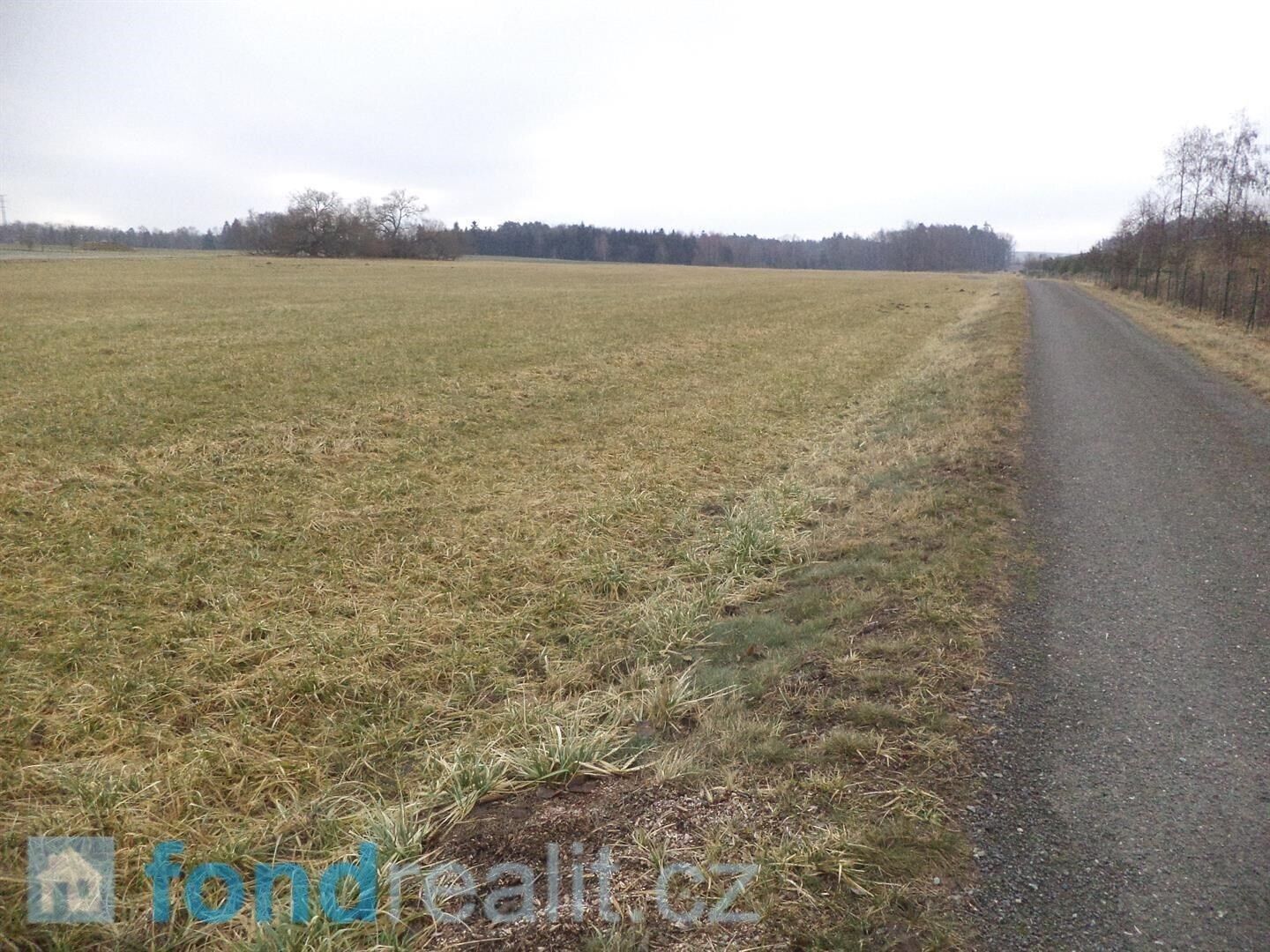 Prodej nemovitosti 1175 m² - foto 8