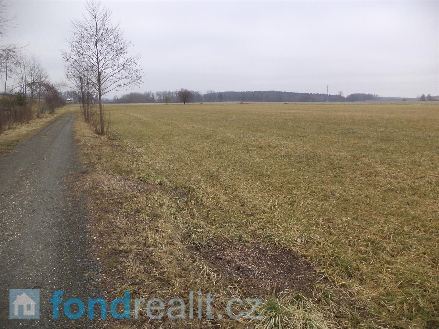 Prodej nemovitosti 1175 m² - foto 9