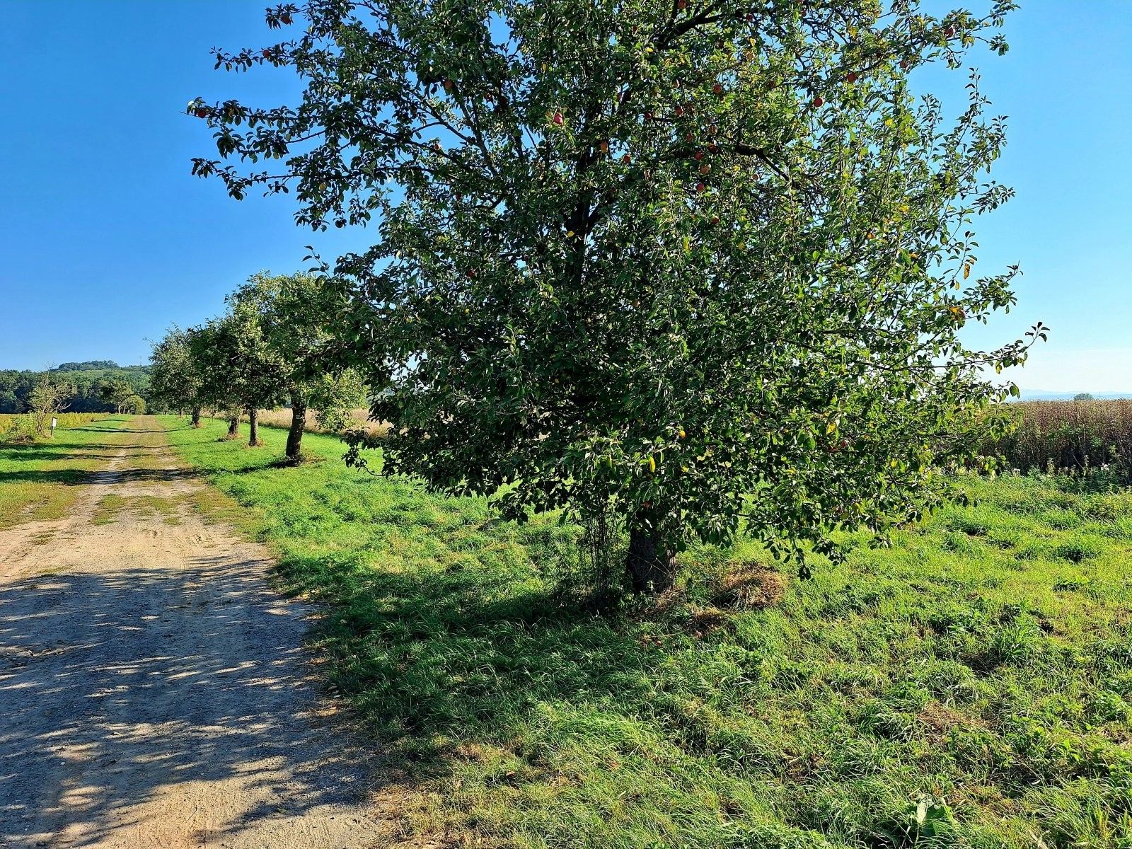 Prodej pozemku 140145 m² - foto 11