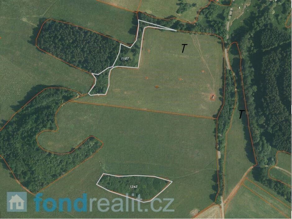 Prodej nemovitosti 23451 m² - foto 4