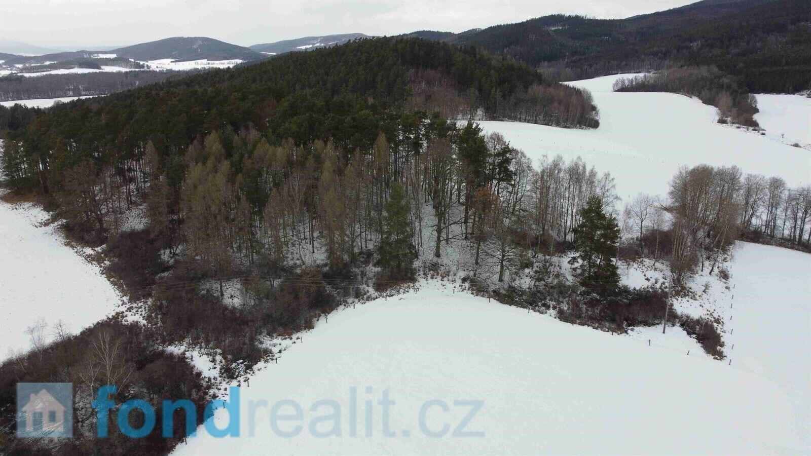 Prodej nemovitosti 23451 m² - foto 6