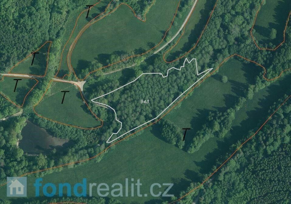 Prodej nemovitosti 23451 m² - foto 10