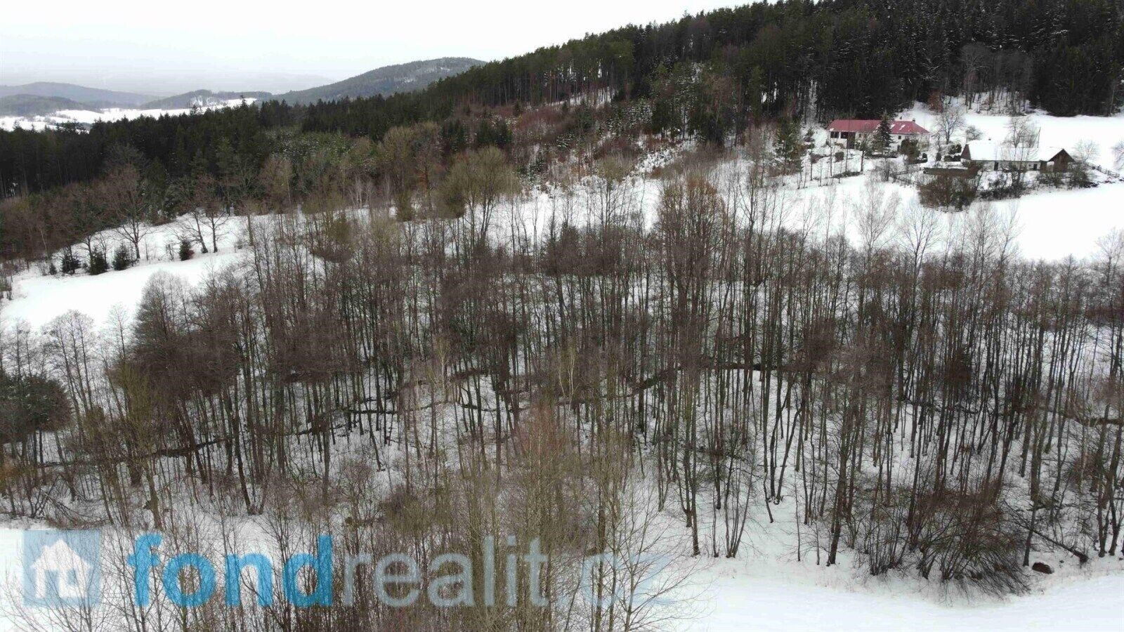 Prodej nemovitosti 23451 m² - foto 13