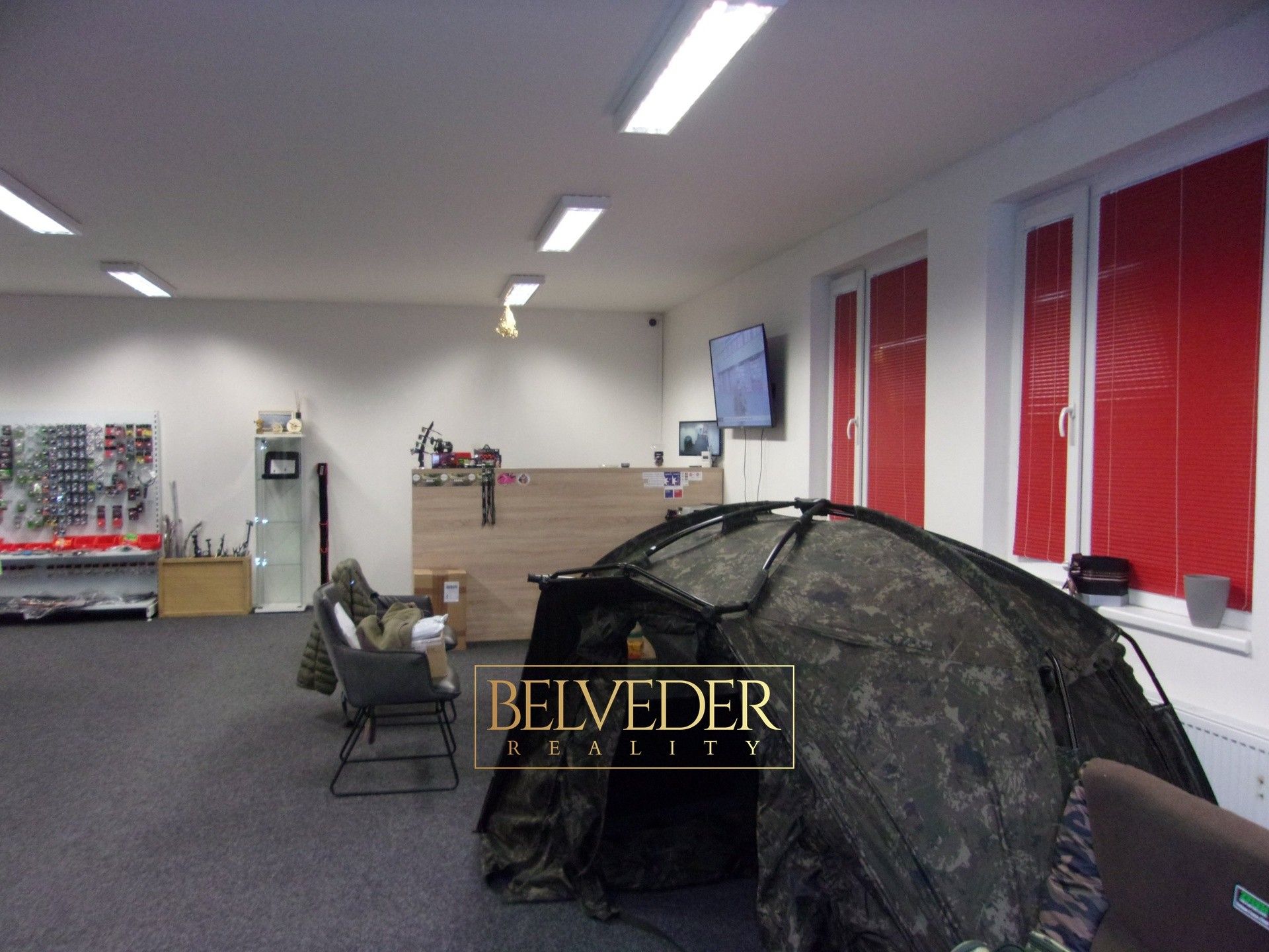 Prodej komerčního prostoru 770 m² - foto 10
