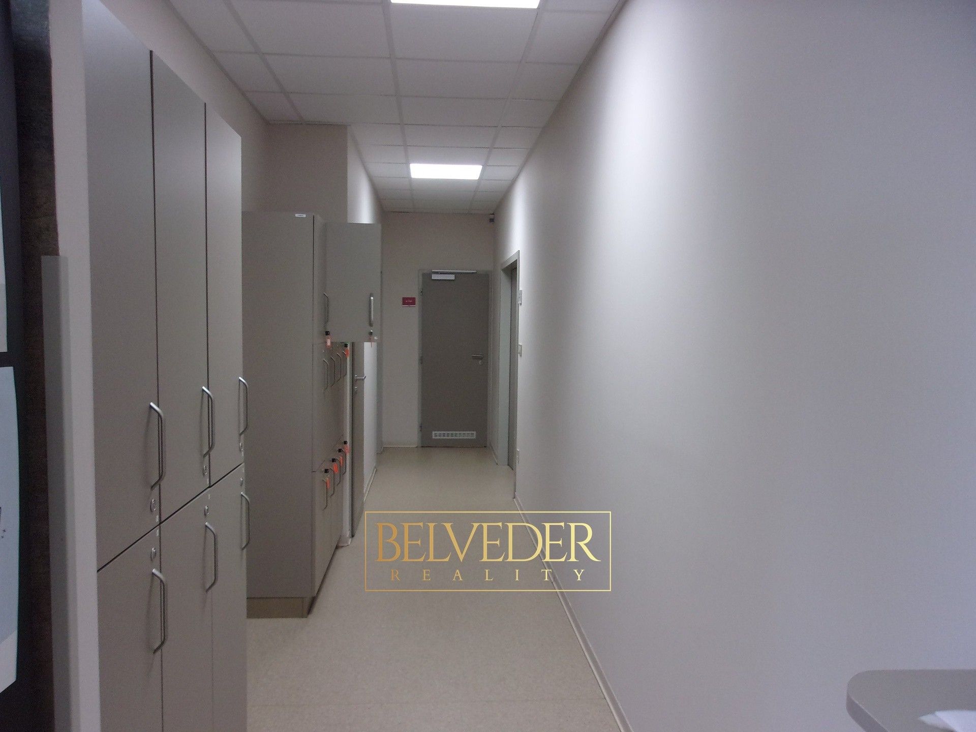 Prodej komerčního prostoru 770 m² - foto 12