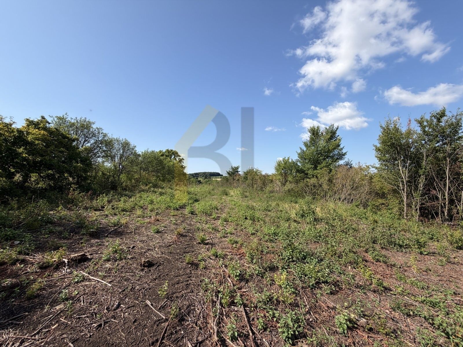 Prodej pozemku 3867 m² - foto 6
