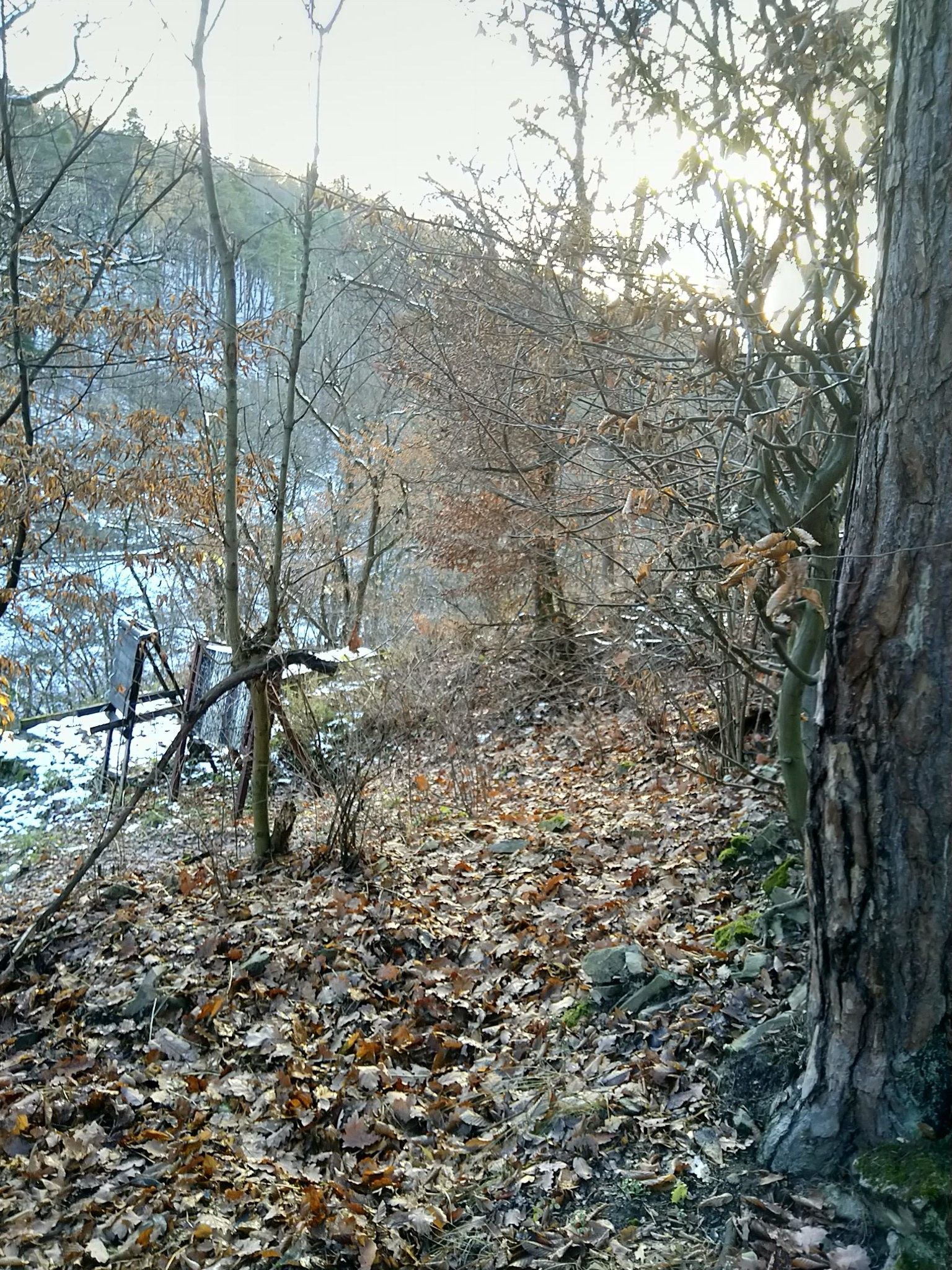Prodej nemovitosti 45 m² - foto 6