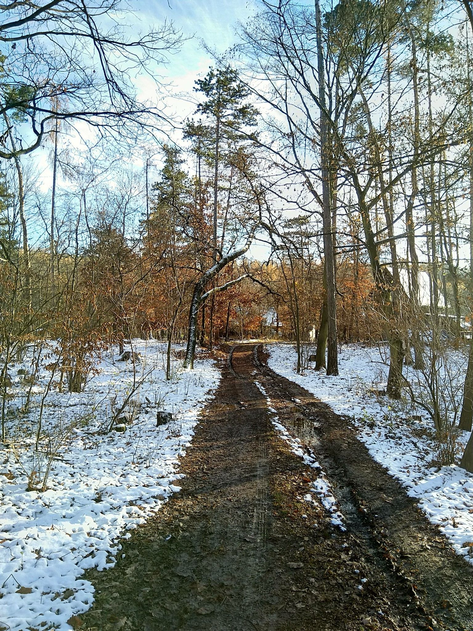 Prodej nemovitosti 45 m² - foto 8