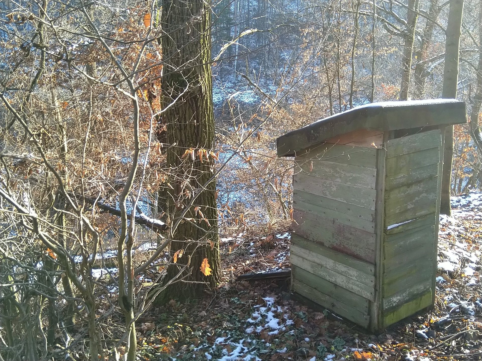 Prodej nemovitosti 45 m² - foto 13