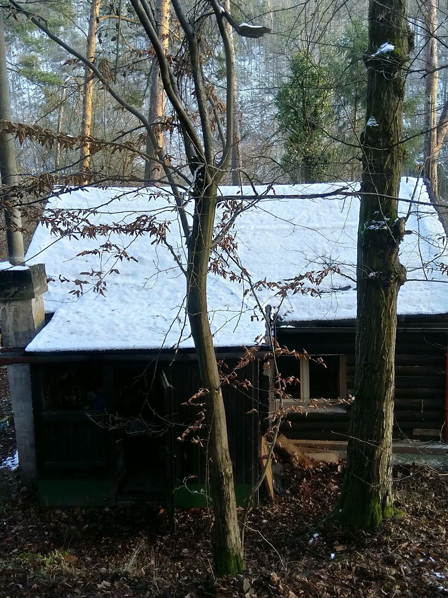 Prodej nemovitosti 45 m² - foto 17