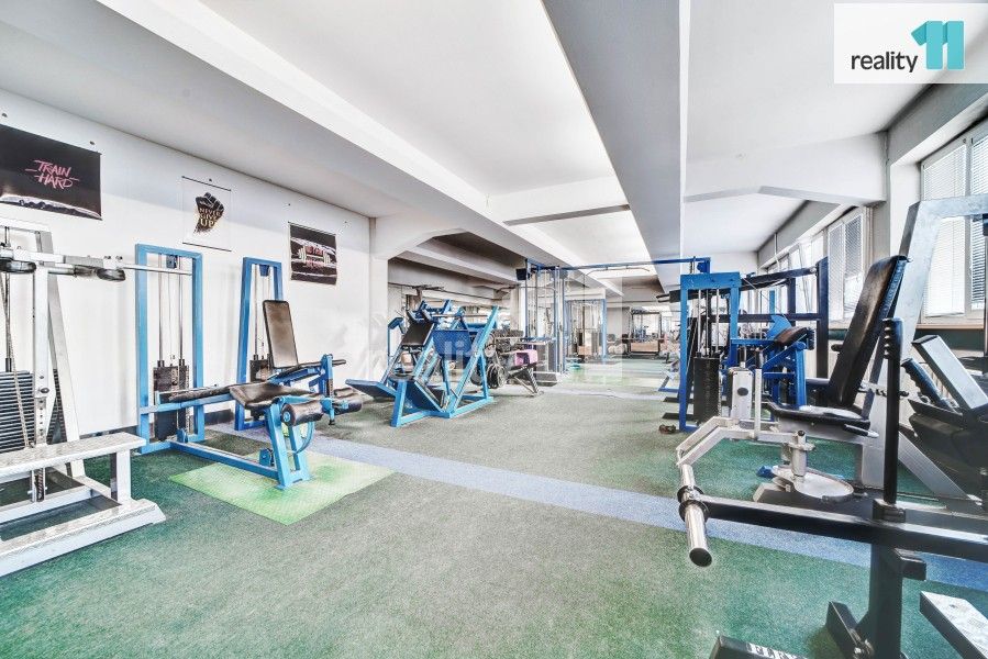 Prodej nemovitosti 4196 m² - foto 4