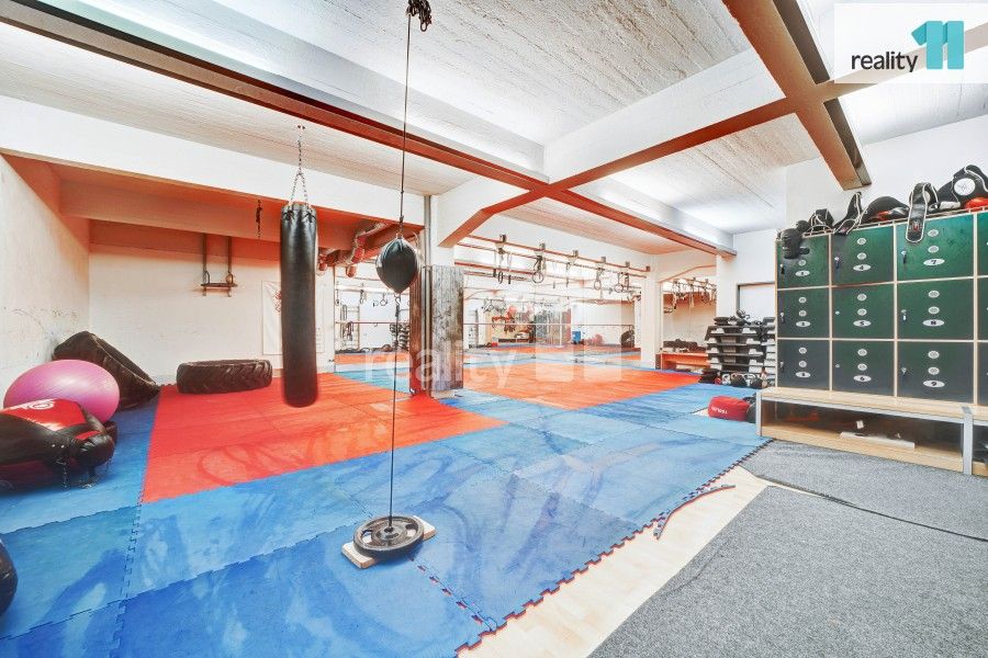 Prodej nemovitosti 4196 m² - foto 6