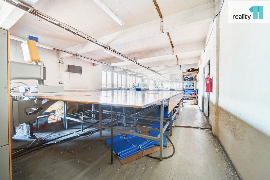 Prodej nemovitosti 4196 m² - foto 11