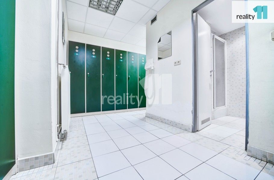 Prodej nemovitosti 4196 m² - foto 16