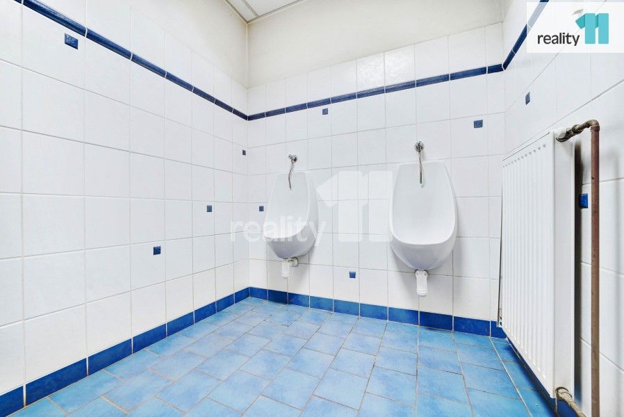 Prodej nemovitosti 4196 m² - foto 18