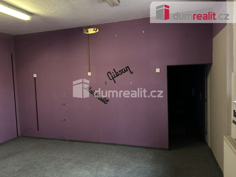 Pronájem komerčního prostoru 120 m² - foto 10