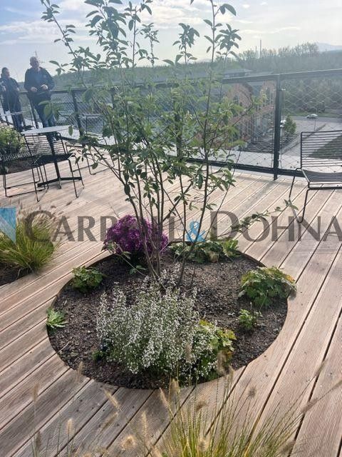 Pronájem komerčního prostoru 205 m² - foto 8