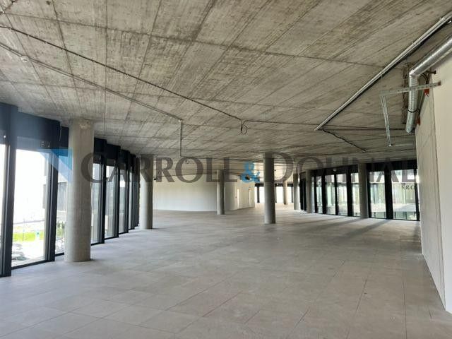 Pronájem komerčního prostoru 205 m² - foto 11