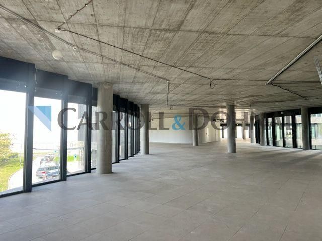 Pronájem komerčního prostoru 205 m² - foto 13