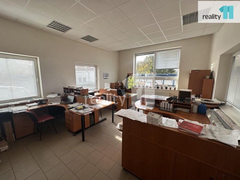 Pronájem komerčního prostoru 800 m² - foto 8