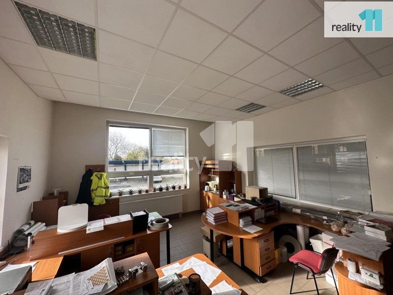 Pronájem komerčního prostoru 800 m² - foto 9