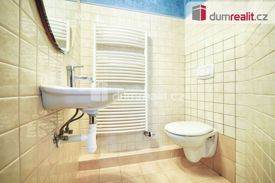 Prodej domu 440 m² - foto 30