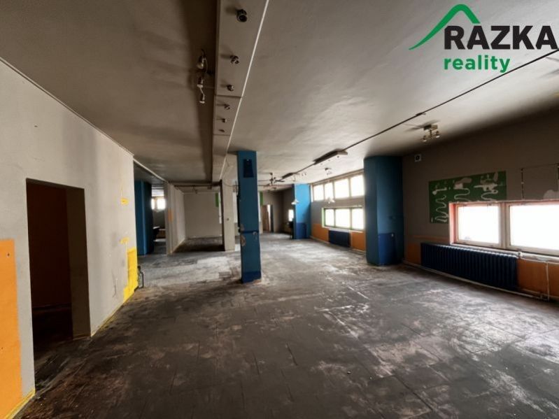 Pronájem nemovitosti 291 m² - foto 3