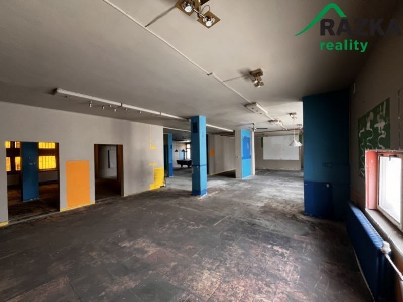 Pronájem nemovitosti 291 m² - foto 4