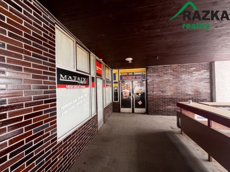 Pronájem nemovitosti 291 m² - foto 2
