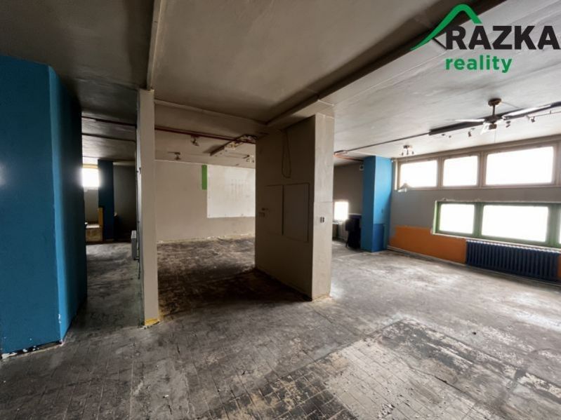 Pronájem nemovitosti 291 m² - foto 5