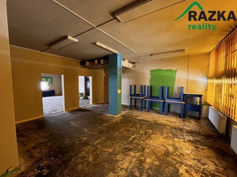 Pronájem nemovitosti 291 m² - foto 6