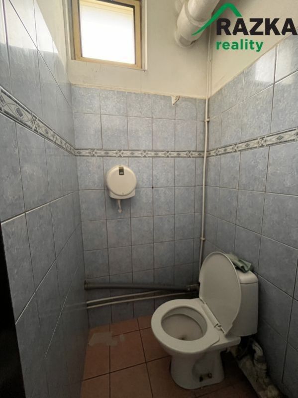 Pronájem nemovitosti 291 m² - foto 9