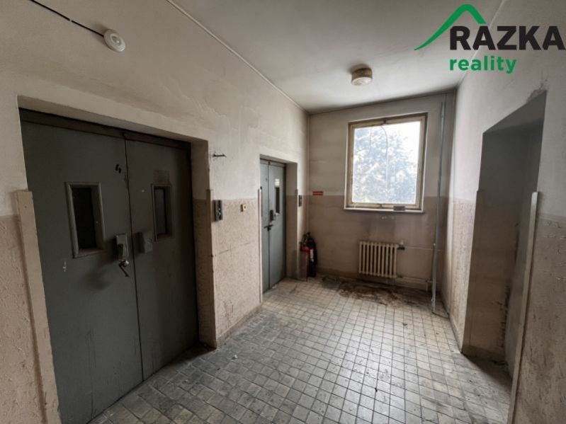 Pronájem nemovitosti 291 m² - foto 8