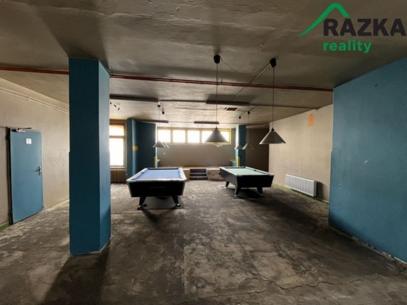 Pronájem nemovitosti 291 m² - foto 10
