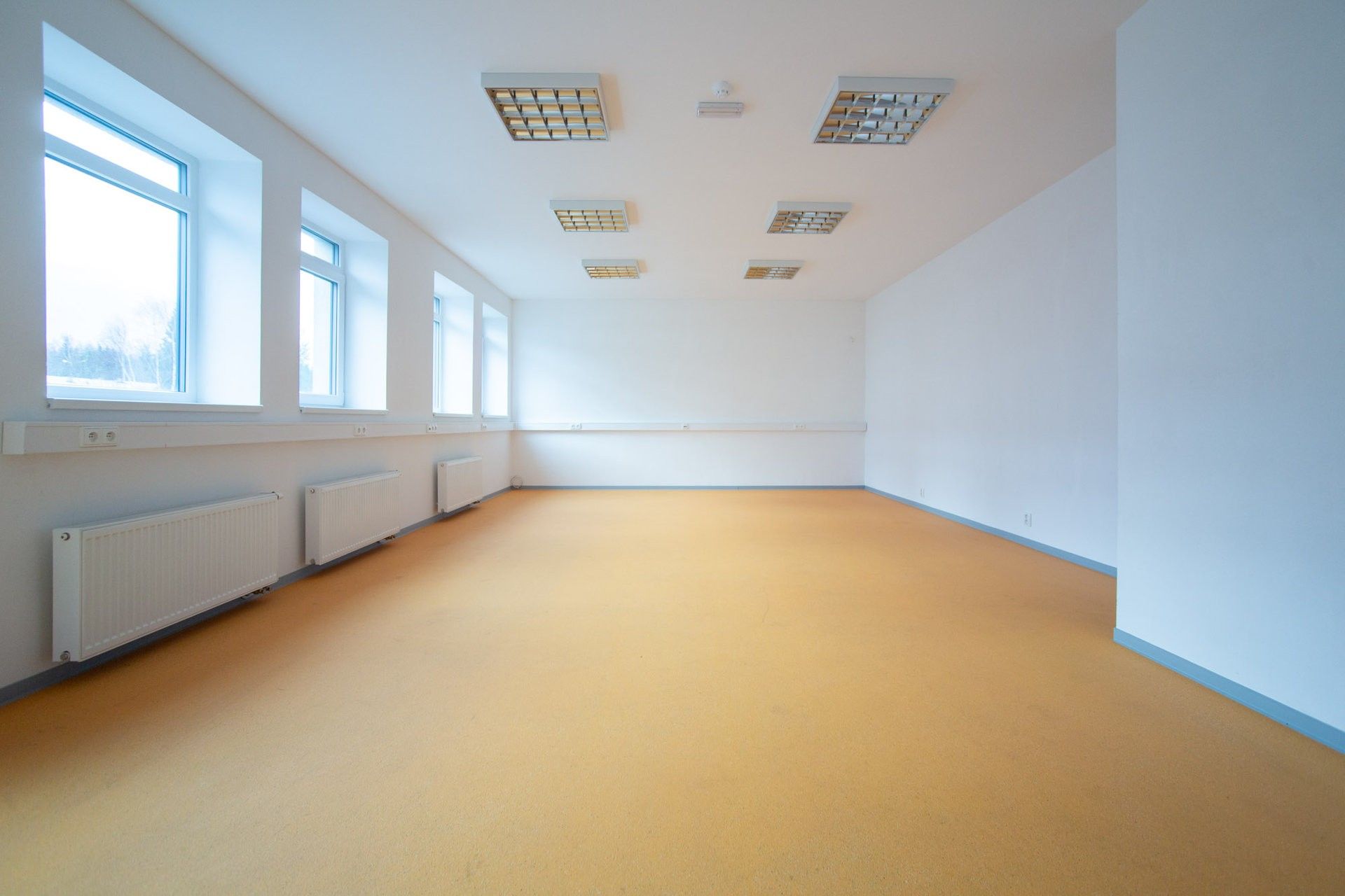 Prodej komerčního prostoru 6236 m² - foto 8