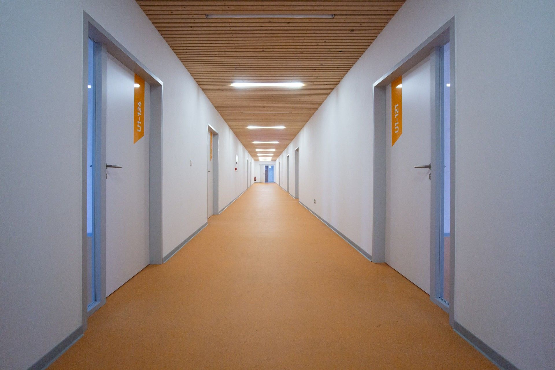 Prodej komerčního prostoru 6236 m² - foto 7