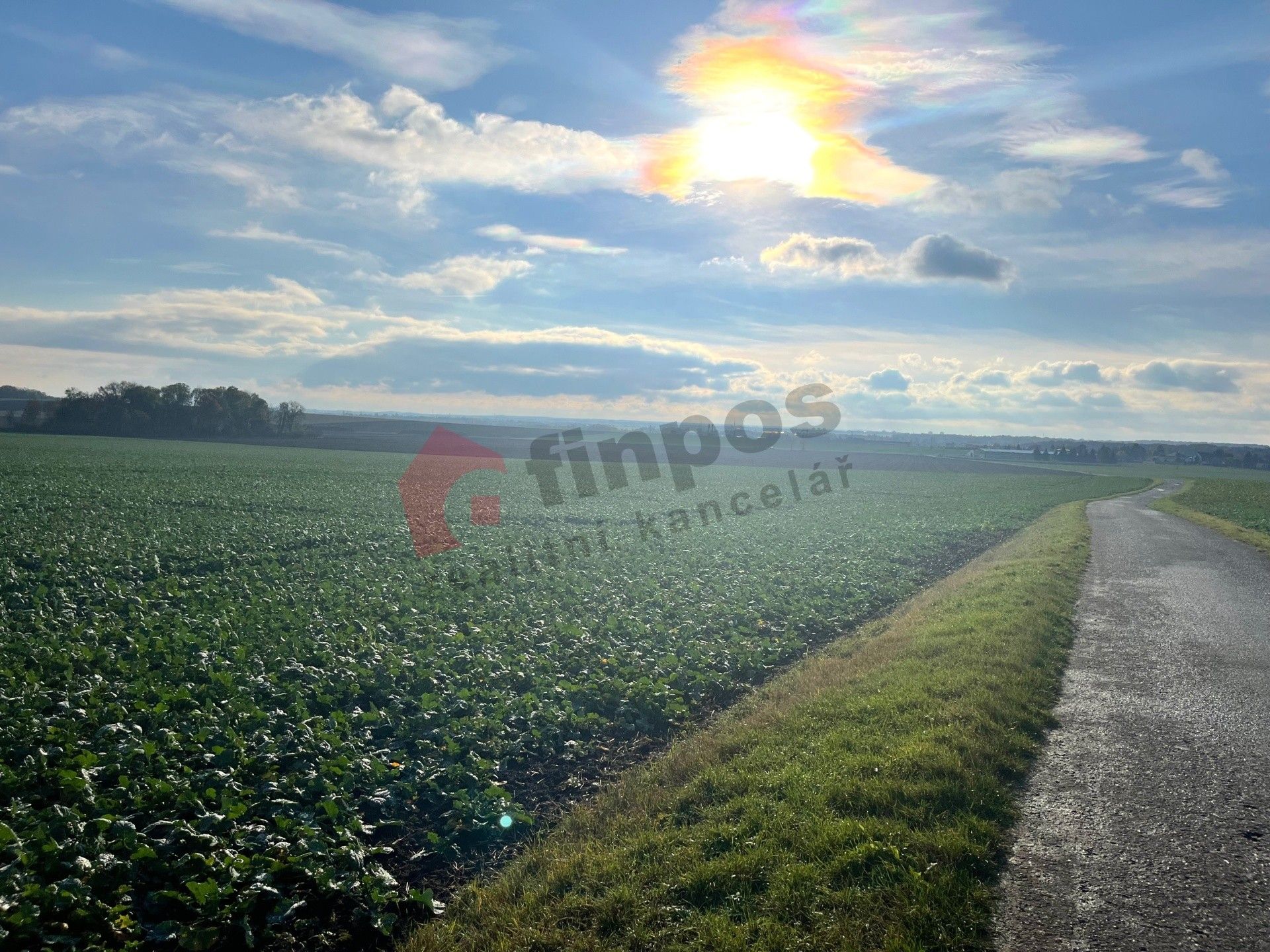 Prodej nemovitosti - foto 7