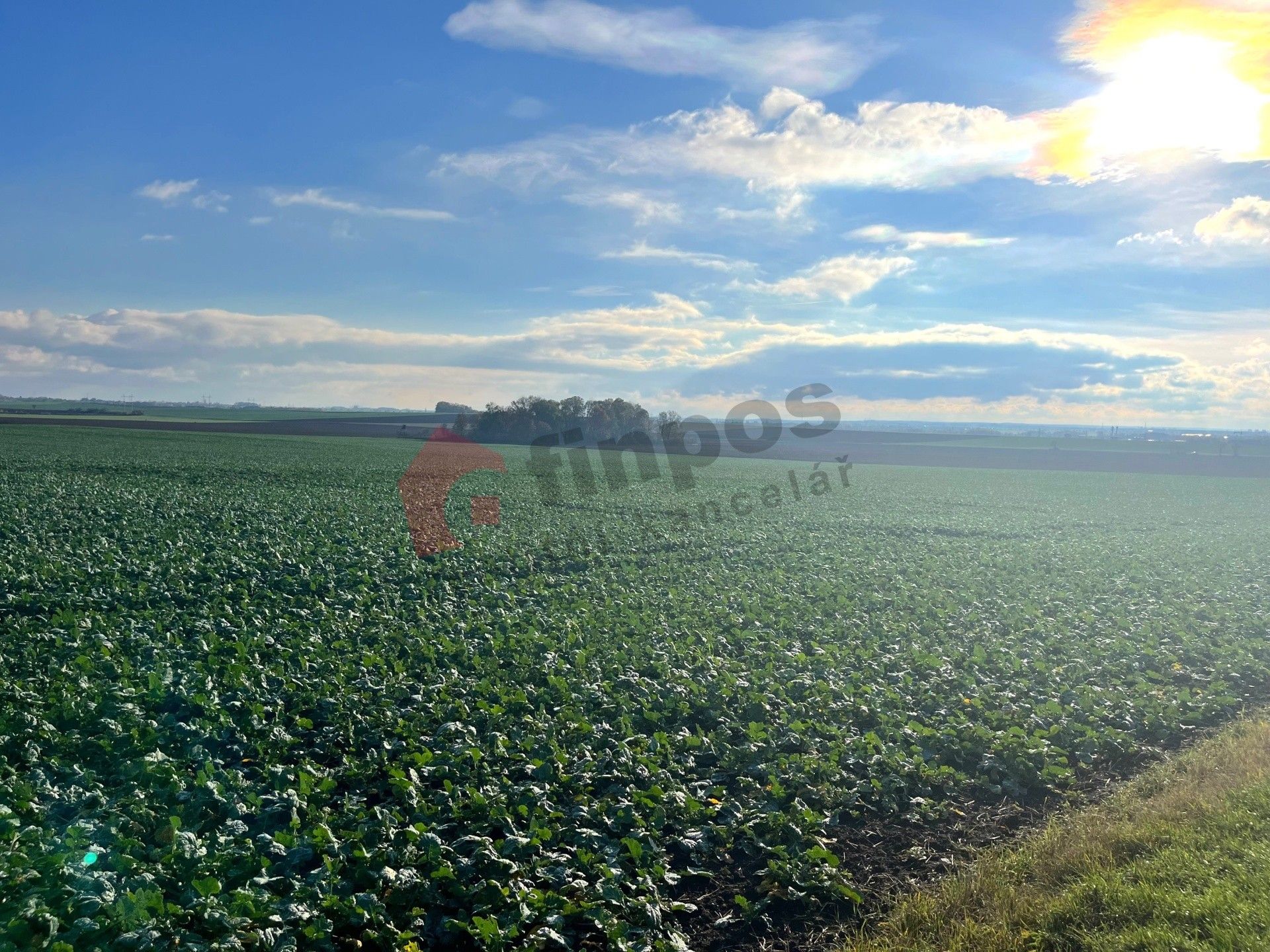 Prodej nemovitosti - foto 8