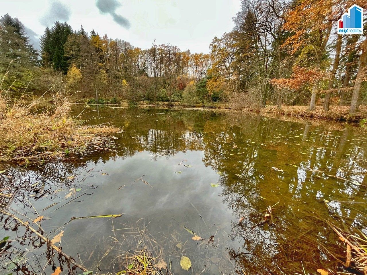 Prodej nemovitosti 14487 m² - foto 10