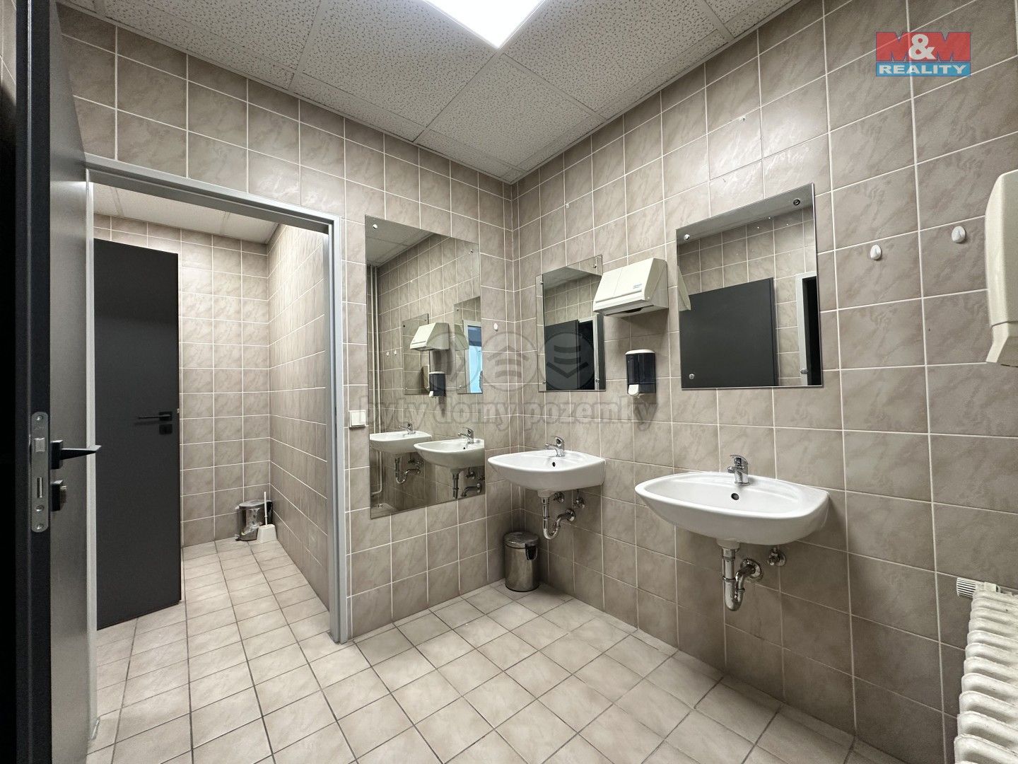 Pronájem komerčního prostoru 220 m² - foto 10