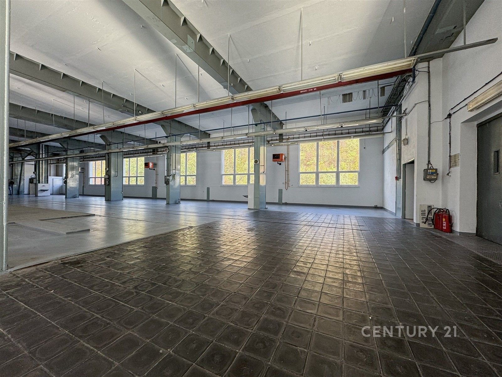 Pronájem komerčního prostoru 1920 m² - foto 6