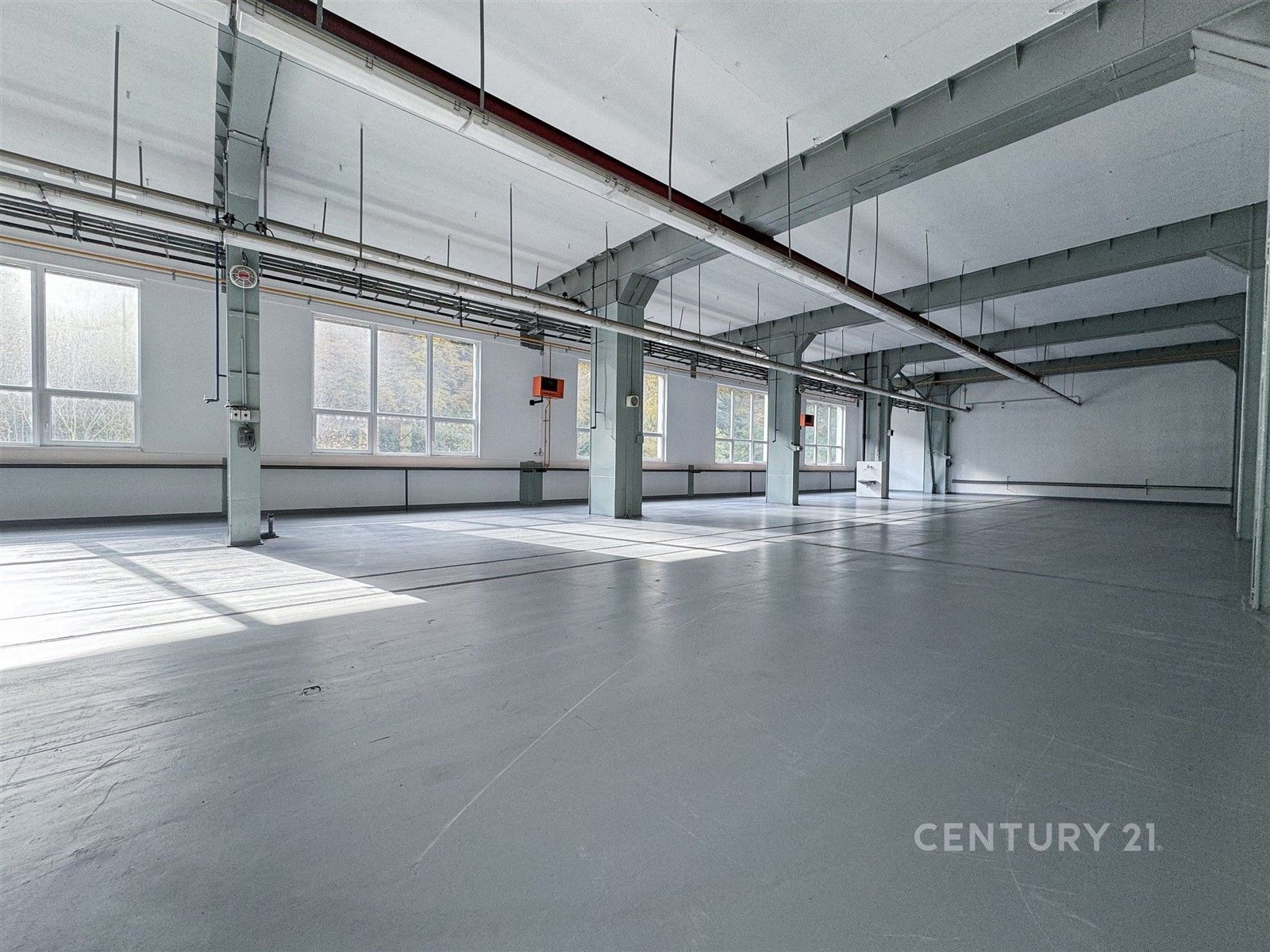 Pronájem komerčního prostoru 1920 m² - foto 8