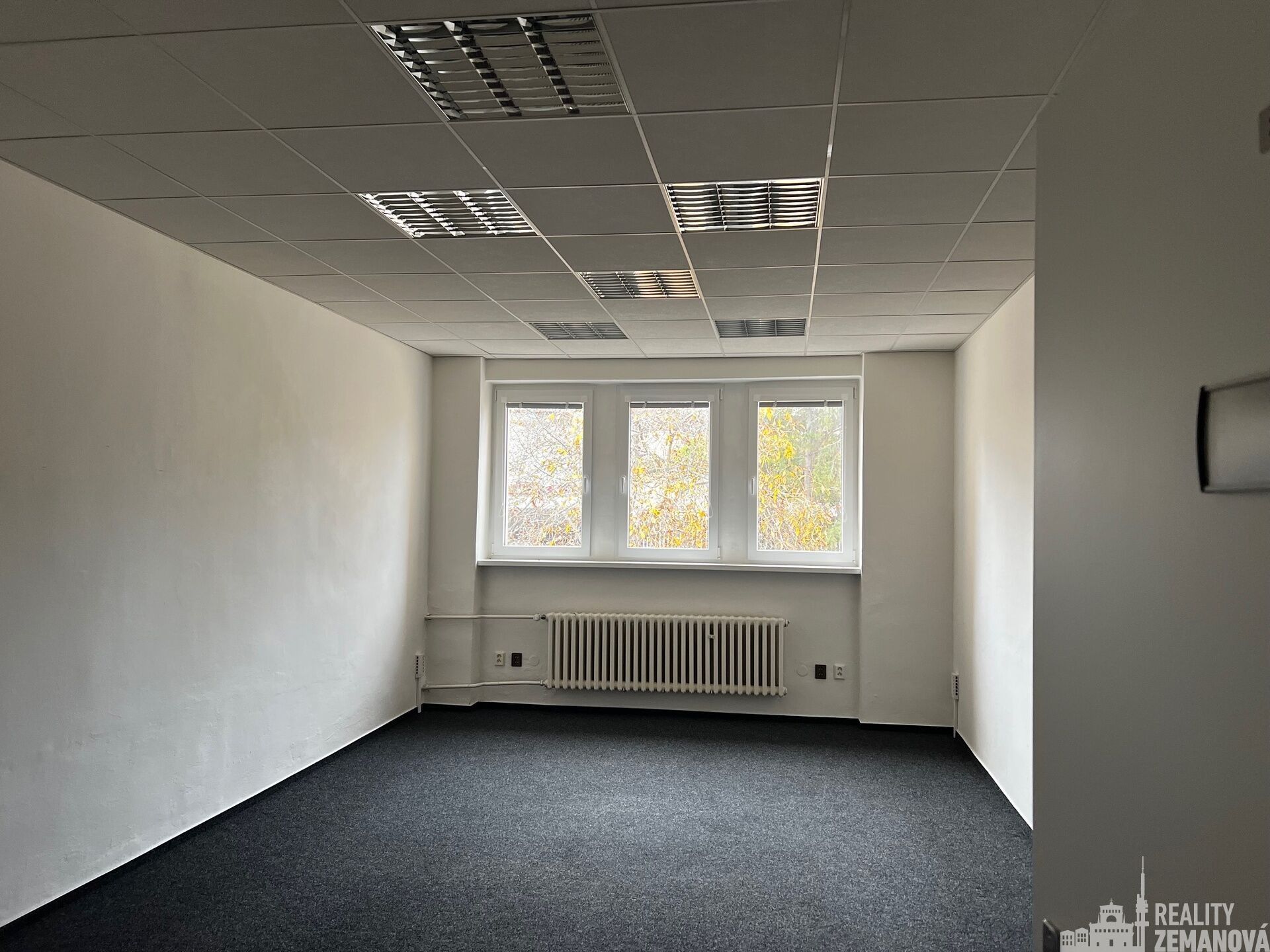 Pronájem komerčního prostoru 347 m² - foto 7