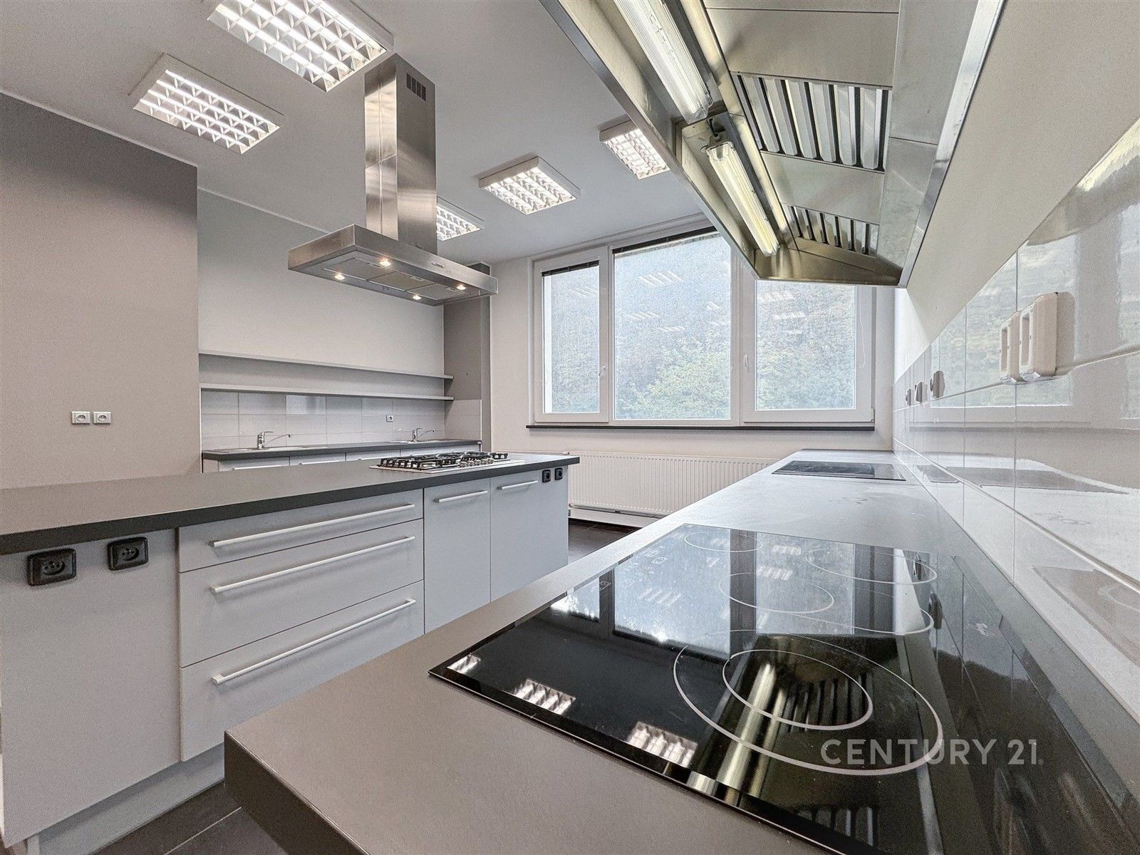 Pronájem komerčního prostoru 1920 m² - foto 15