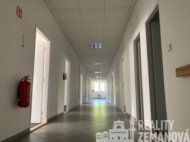 Pronájem komerčního prostoru 347 m² - foto 11