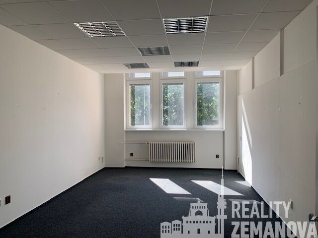 Pronájem komerčního prostoru 347 m² - foto 12
