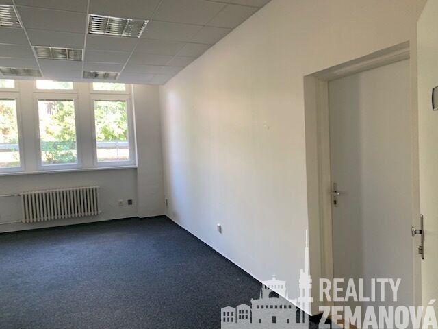 Pronájem komerčního prostoru 347 m² - foto 14