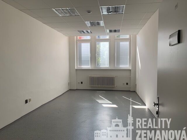 Pronájem komerčního prostoru 347 m² - foto 16