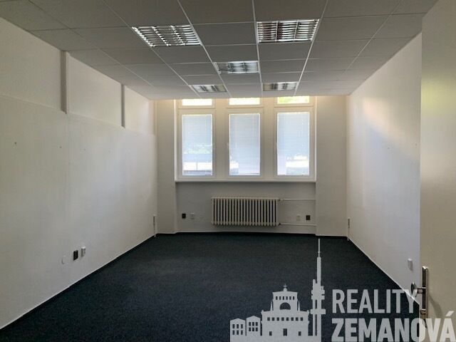 Pronájem komerčního prostoru 347 m² - foto 15